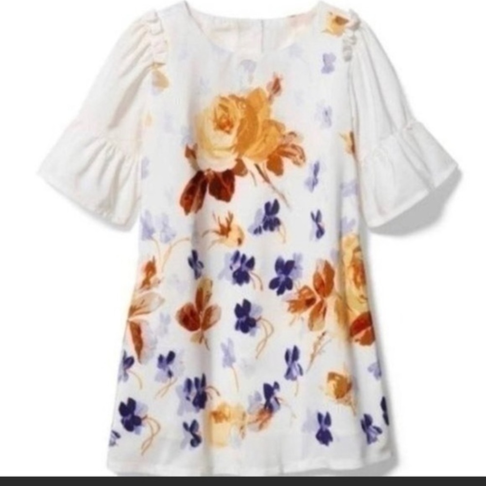 🆕 Janie and Jack FLORAL RUFFLE SLEEVE DRESS 3-6 months